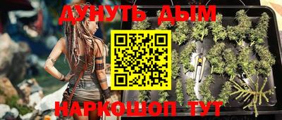 Альфа ПВП Краснознаменск