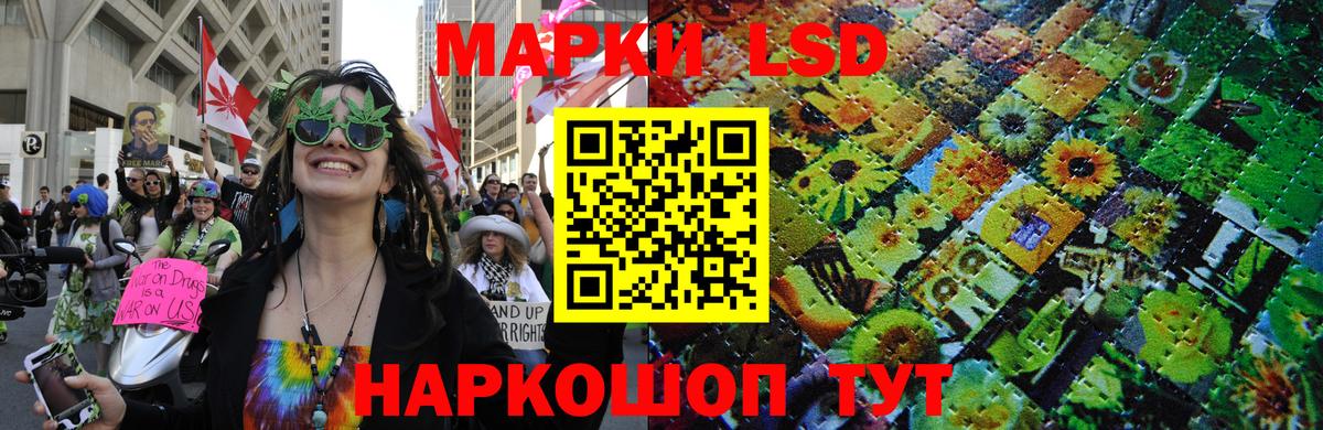 Бошки Шишки Котовск