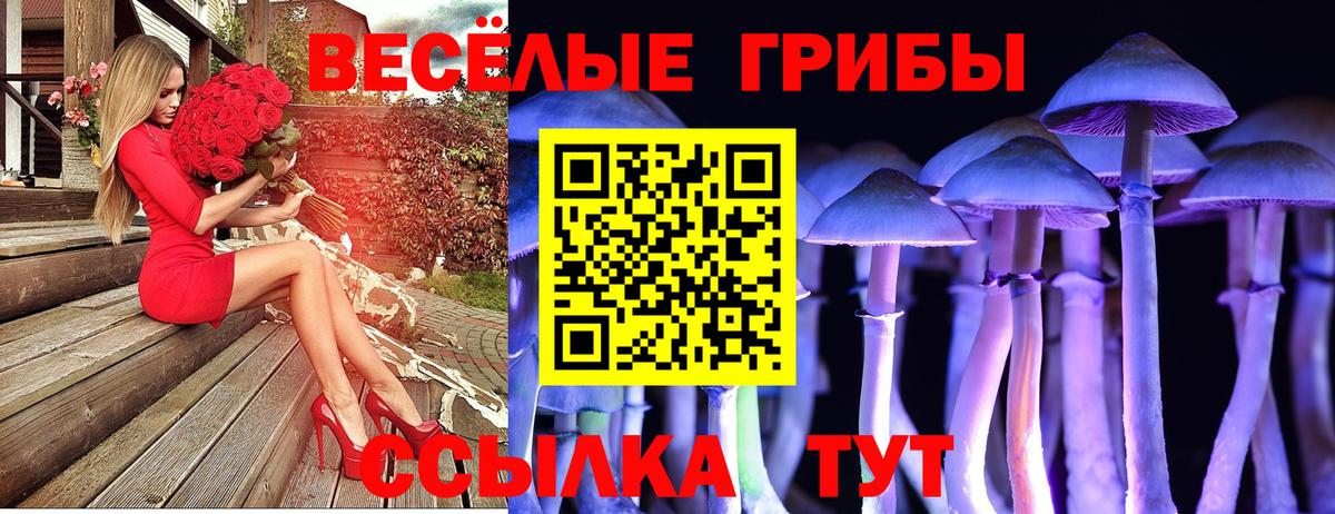 Псилоцибиновые грибы мухоморы Котовск