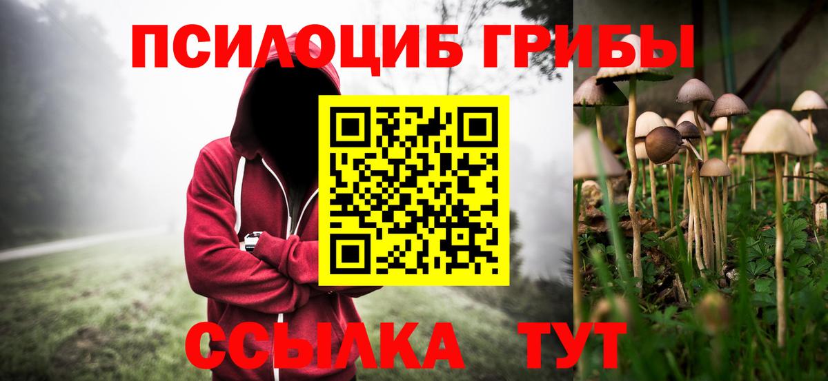 Котовск  Псилоцибиновые грибы Psilocybine cubensis  Вход с VPN 